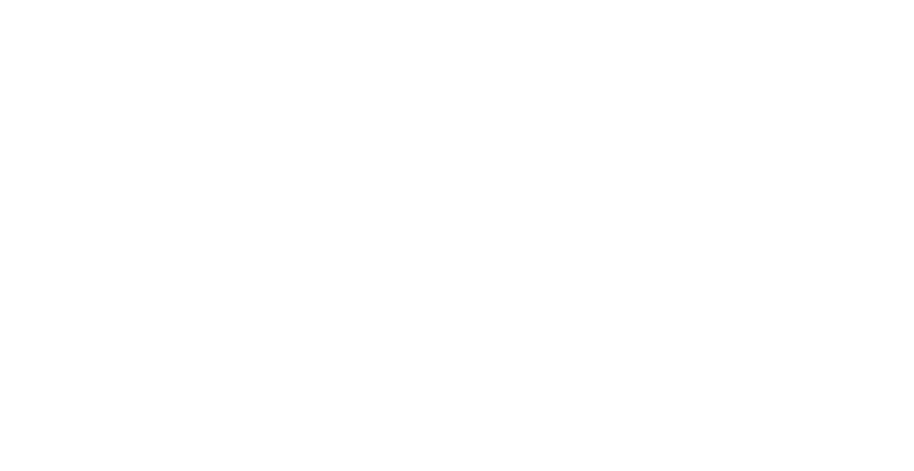 Skyfunction Logo